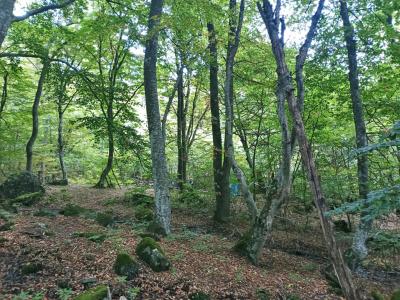 Прикрепленное изображение: 0003l.jpg